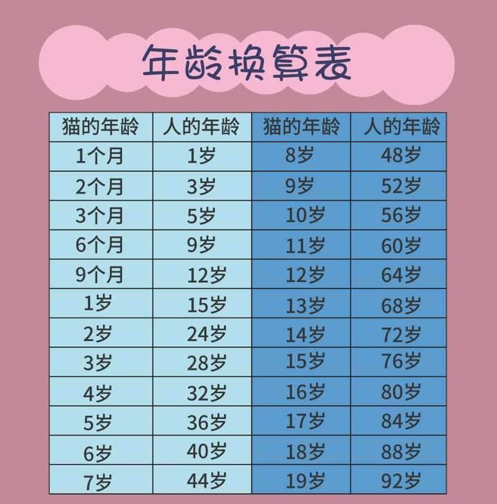 猫咪3岁是人的多少岁（奉上猫咪最新年龄对照）
