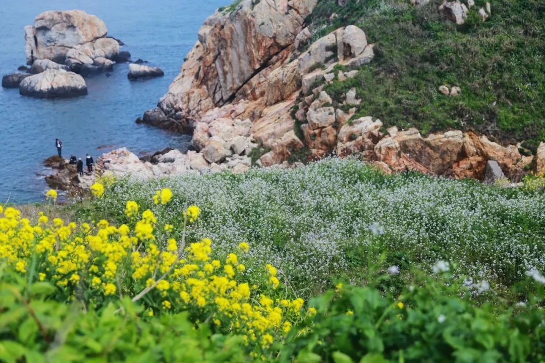 浙江看海10大最美海滩（浙江哪里看海最美）-第21张图片-昕阳网