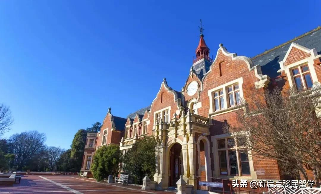 疫情当下,为什么出国留学热度不减?