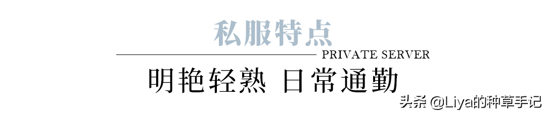 宁静《浪姐3》丑上热搜？求求退赛吧