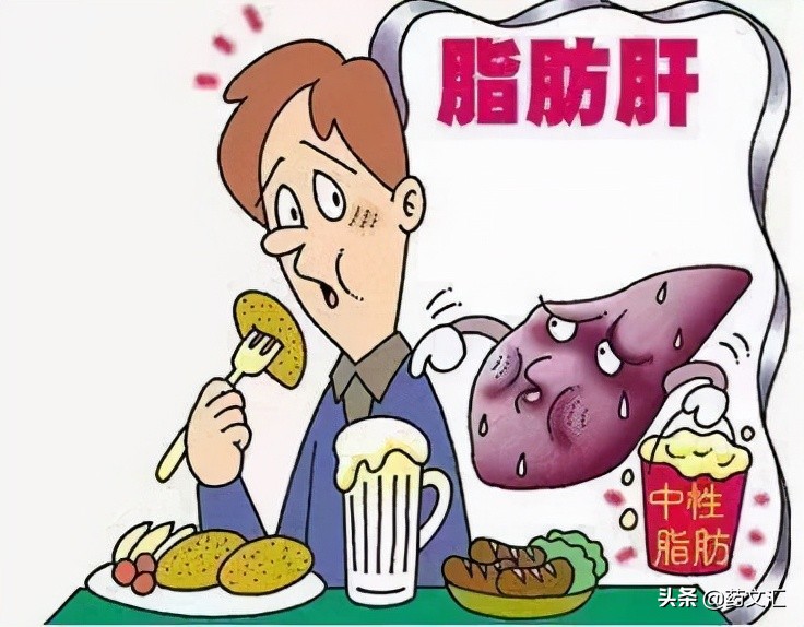 二陈丸是治疗哪种脂肪肝的？它的使用注意事项有哪些