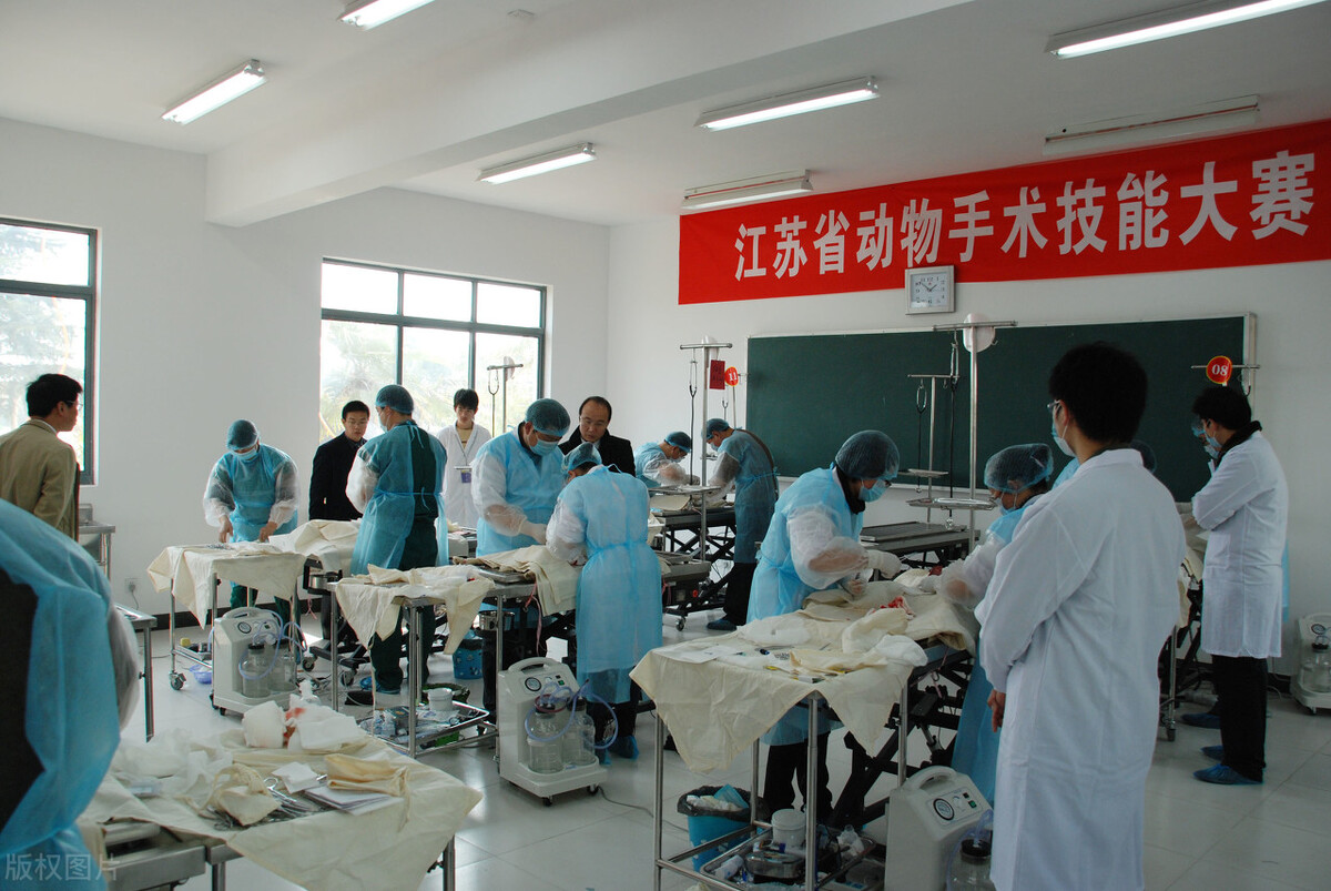 5所高职院校，号称专科中的“985”，就业率高而且就业质量也好