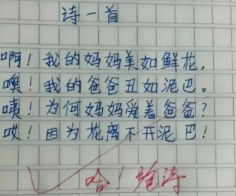 《我的小姨》一片小学生作文