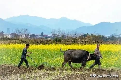 四大传统节日是哪四个-第2张图片-巴山号