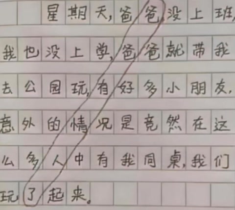 《我的小姨》一片小学生作文