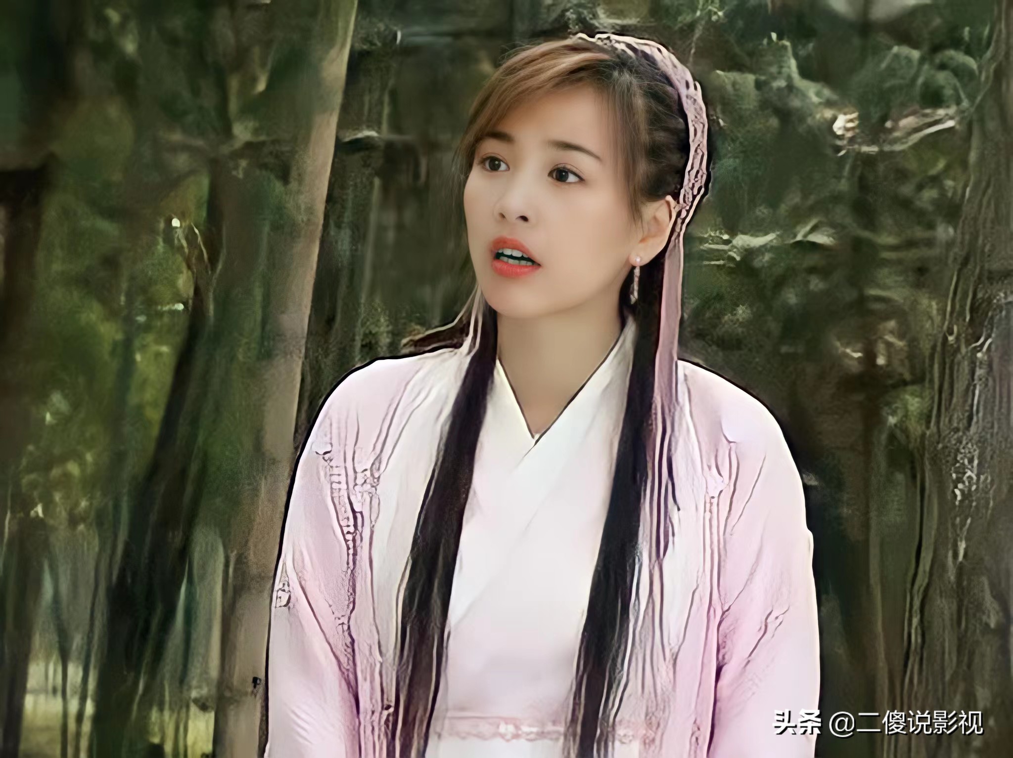 张婷的主演电视剧(盘点张庭经典影视电视剧,一部成为经典,一部坏到