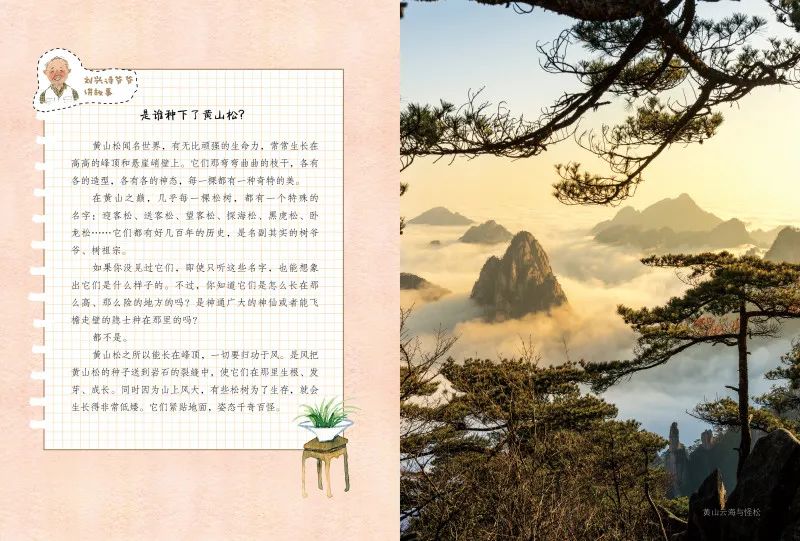帝都三年级小学生平时都在看什么书？