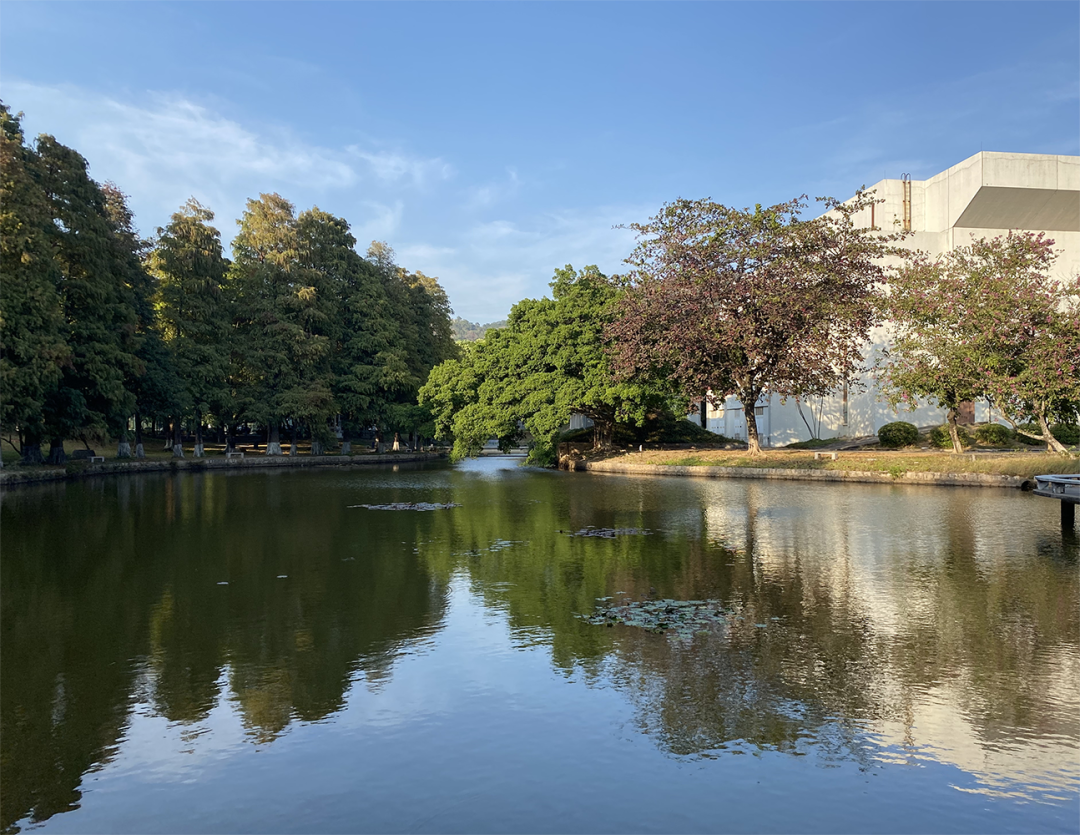汕头大学专业,汕头大学专业有哪些