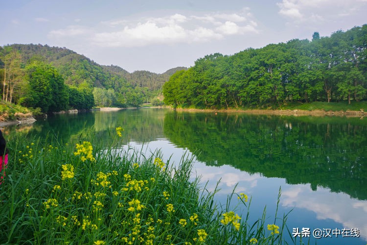 西鄉(xiāng)櫻桃香又甜