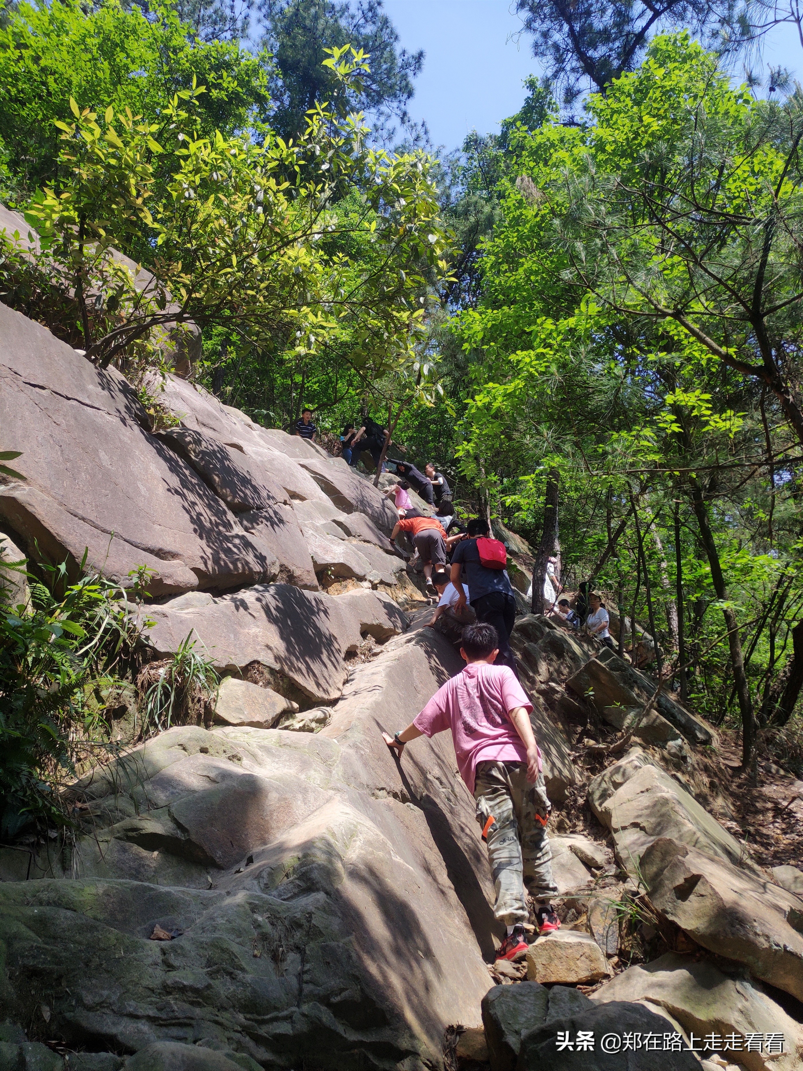 重庆哪里可以爬山(重庆歌乐山911爬山路线,真的太刺激了)