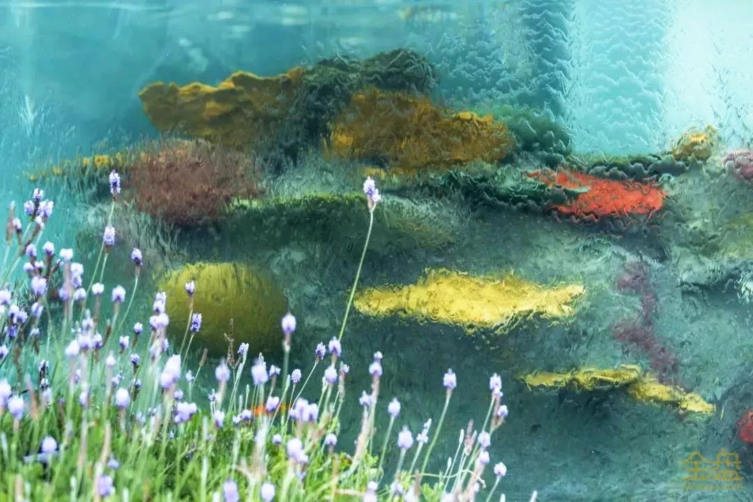 花园美景既要“藏”，又要“漏”