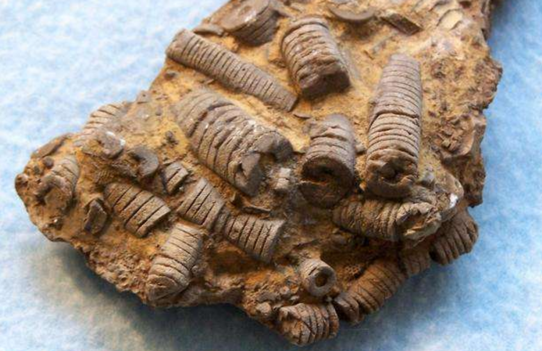 3����ǰ��һ�š���˿������Ƕ��ʯ���У��ҿ�һ��ʷǰ���۷�ʱ��