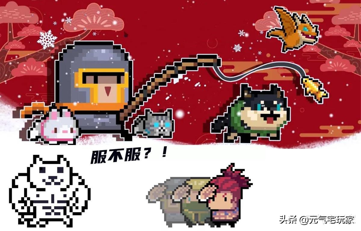 【寵物宅設計情報分享】元氣騎士：哪只寵物練了不虧？炎焱墊底，涼屋老「梗」意外驚艷