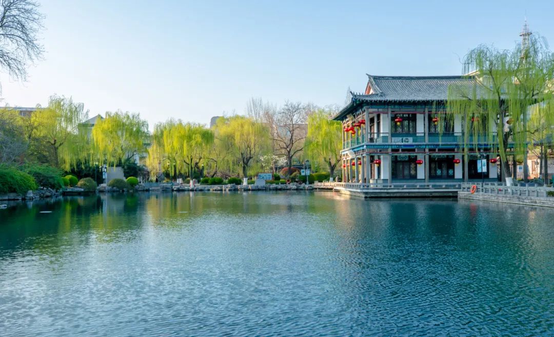你一句春不晚，我就到了曼妙的山东！