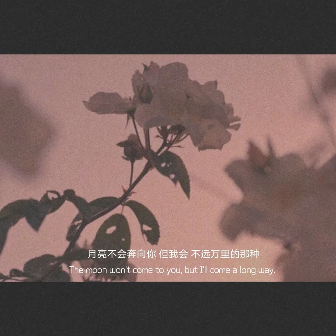 ֿ㣨ֿС˵֪-Ʒ