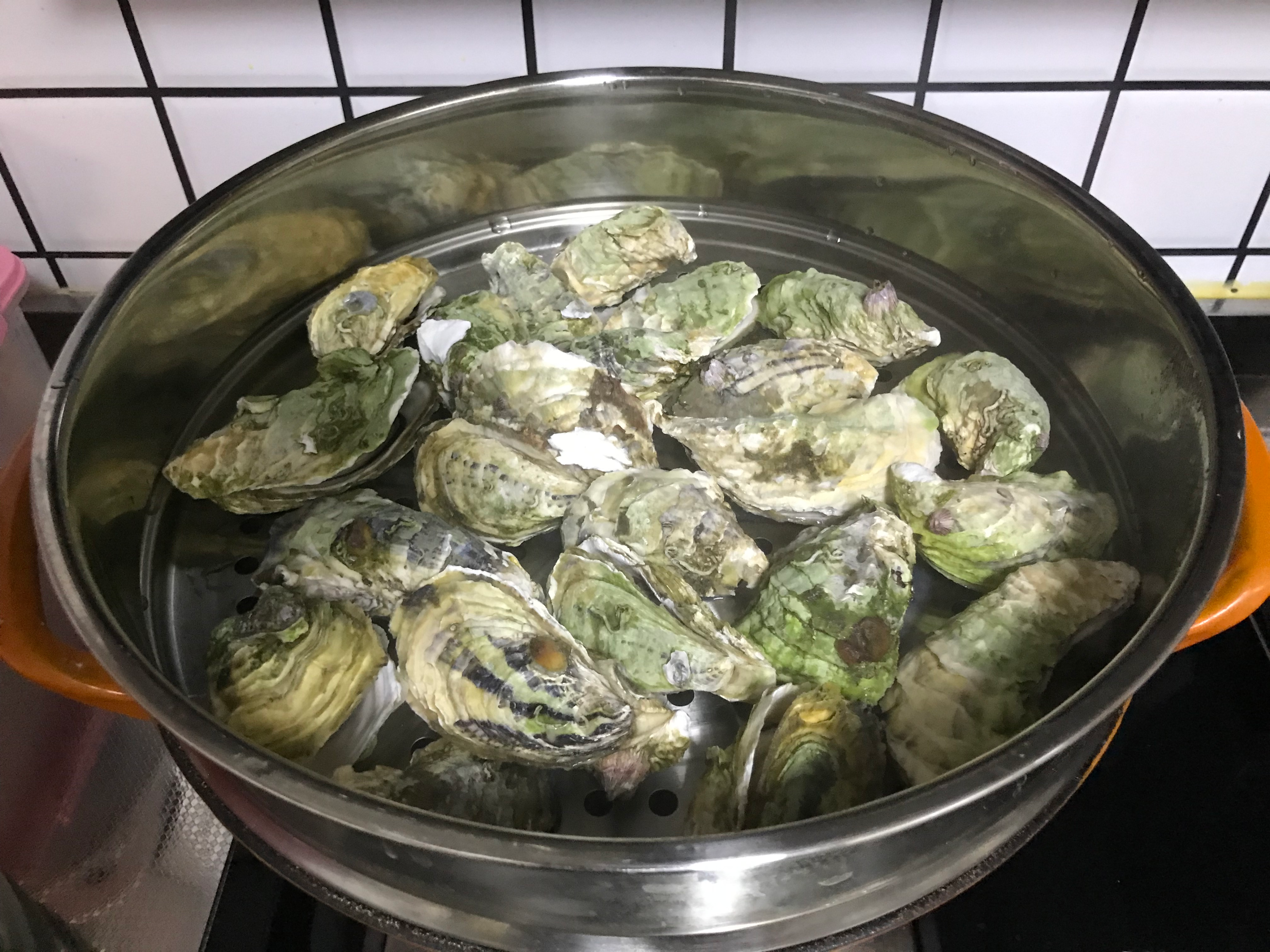 图片[12]-【清蒸生蚝】做法步骤图 味道鲜美又营养 别错过-起舞食谱网