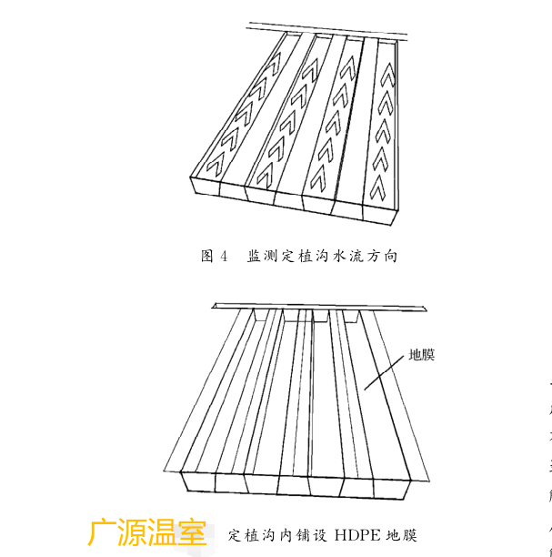 分享南疆地区经济实用的大棚沙培番茄种植技术