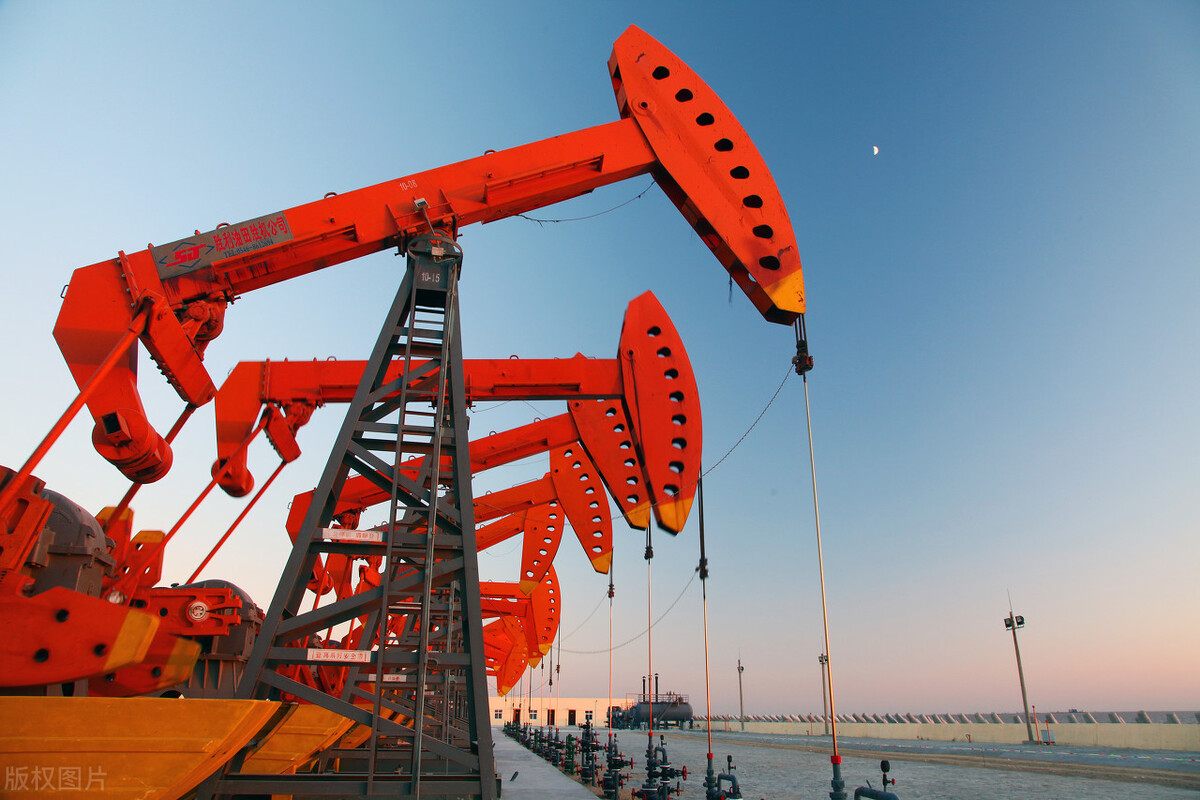 中科院院士出任校长，山东省第二所公办石油本科院校正式揭牌