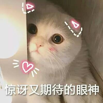 （1）哪款猫粮真材实料？（2）进口猫粮哪家强？（3）猫咪最爱吃什么牌子？