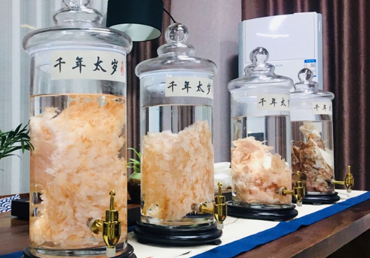 什么是太岁，不是植物不是动物的一坨“肉”，为什么能价值百万？