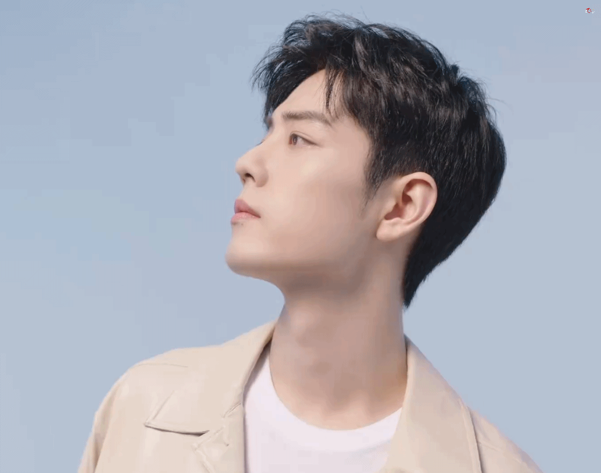 存个记录,寻艺前20数据排名 肖战占了17 个,肖战好牛