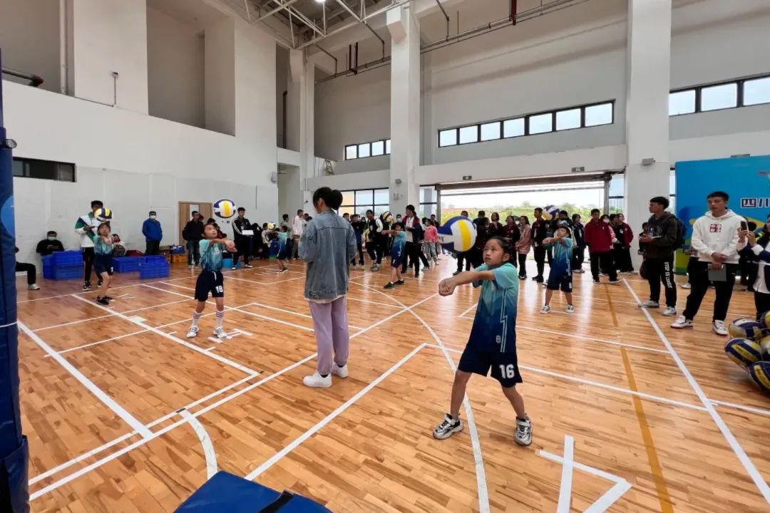 排球显英姿运动助成长｜大林小学参加首届中小学排球联赛并获佳绩