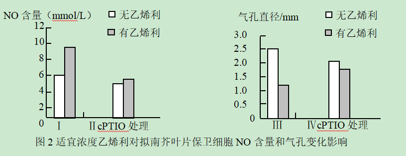 青鲜素相当于什么植物激素（青鲜素相当于什么植物激素类）-第13张图片-昕阳网