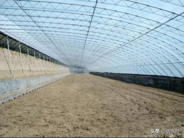 一亩以色列大棚造价60万，有这钱，同样的功能，我能建十几座