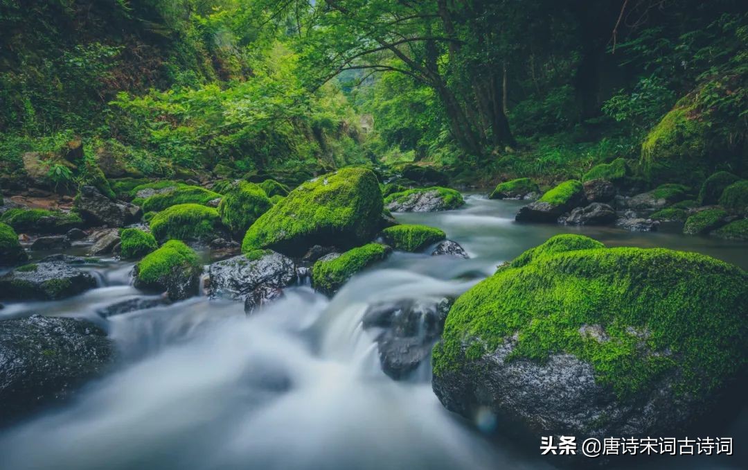 杨万里是哪个朝代的（杨万里是哪个朝代的事）-大连信息网