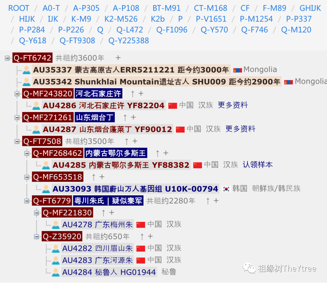 四川眉山的朱同学找到了秘鲁和广东河源650年前共祖的同宗