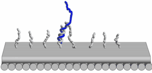 上海交大女博士成科研界“妲己”，颜值不输明星，数段婚姻引争议