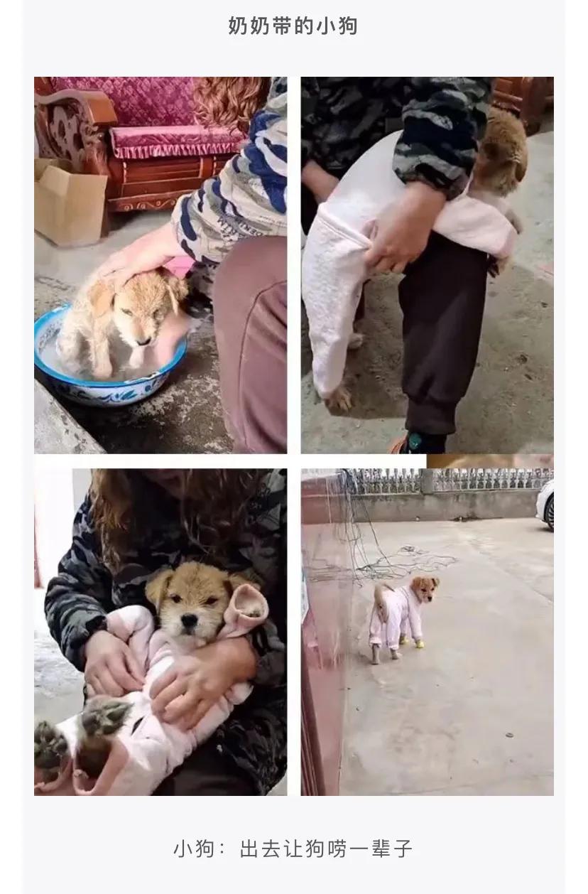 神评段子合集：准备拜访老丈人，提这些礼品过去一定会夸我懂事
