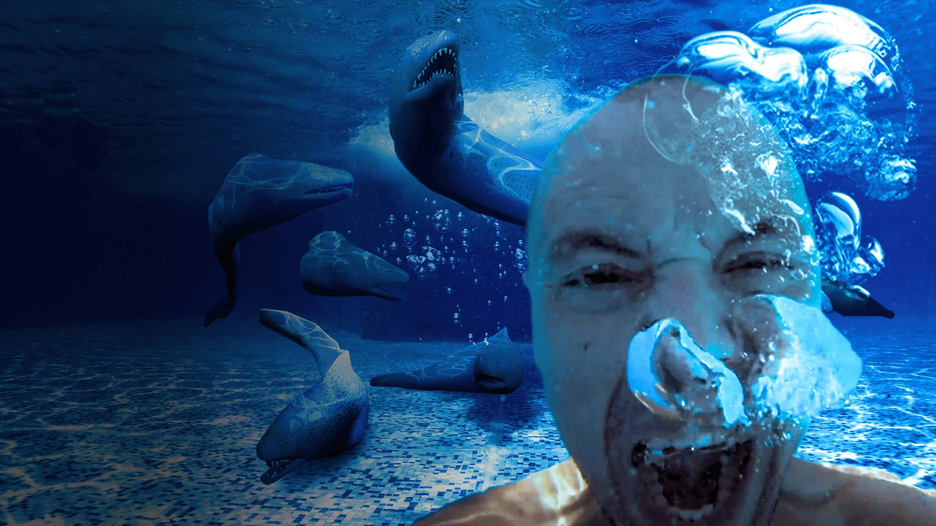 鳗鱼为什么不会电到自己?