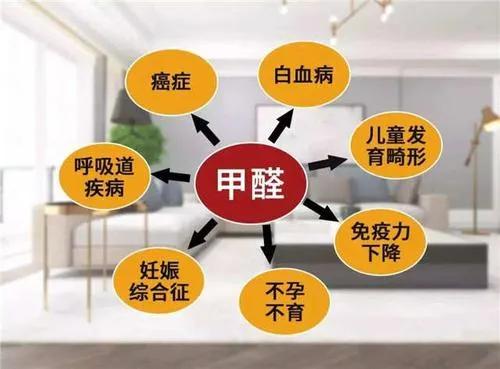 装修后除甲醛费用及应对方法