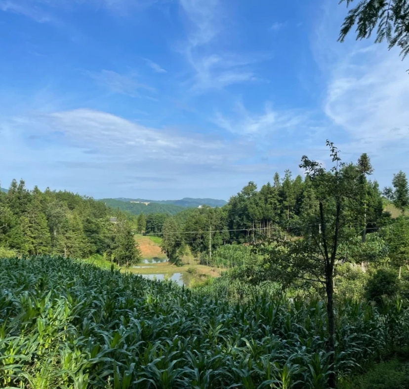 重庆哪里住宿便宜(重庆附近，有着湖北的凉都，比恩施市区适合避暑，夏天度假安逸)