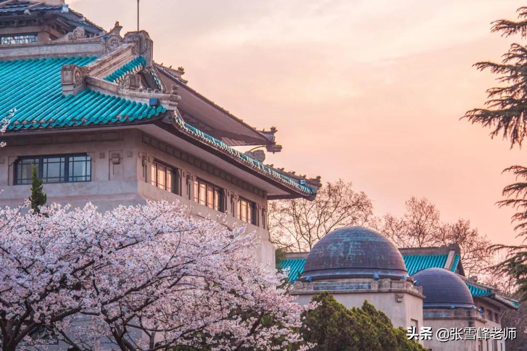 中南财经政法大学的法学专业被公开警示！你还会报考吗？