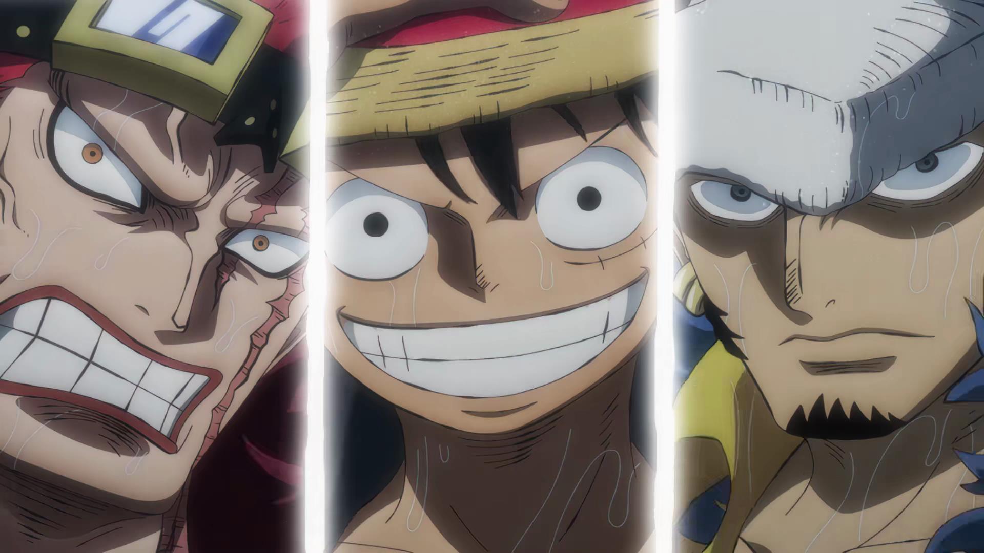 罗的图片高清(海贼王:罗为什么没有霸王色霸气?