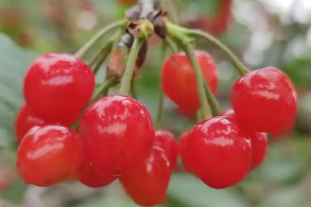 2022高考押题Ⅰ高考60分书信体范文《不负韶华 做中国脊梁》