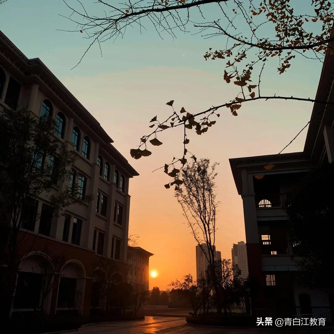 秋冬美图来袭① | 为你喜欢的校园美景投票吧