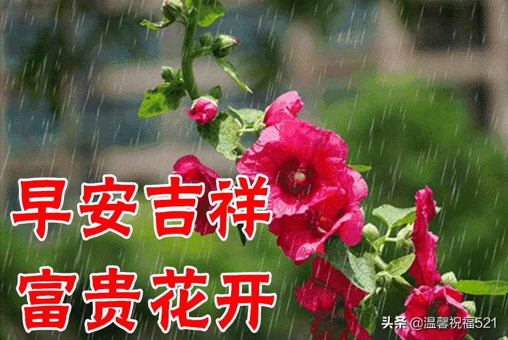 2月19日雨水早上好动态表情图片大全，雨水快乐出门记得带伞