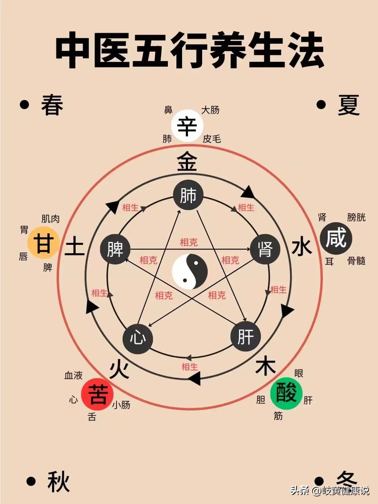 五脏中医知识,不会的朋友收藏好!