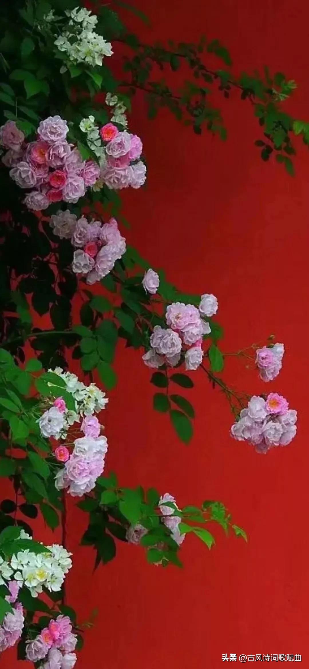 100句既有正能量，又温暖人心的句子，简短文艺，治愈心灵