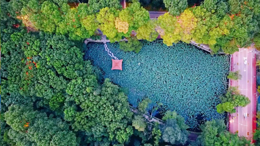 文科实力强悍！湖北这所985：经费累计近3.3亿，成果获省委省政府批示！