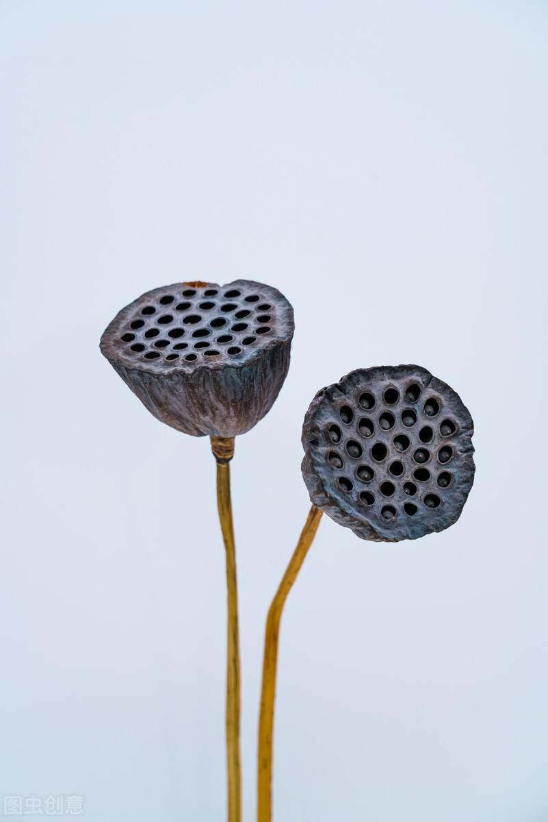 50张唯美禅意风景图片.高清淡雅意境壁纸,让人心静的自然美图