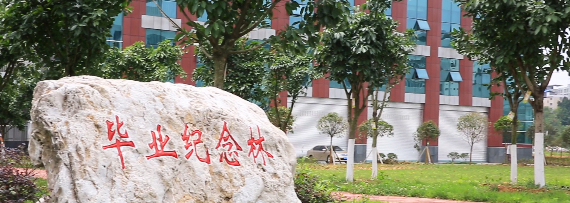 绵阳师范学院毕业生就业分析，师范生占56%，64%选成都与绵阳就业