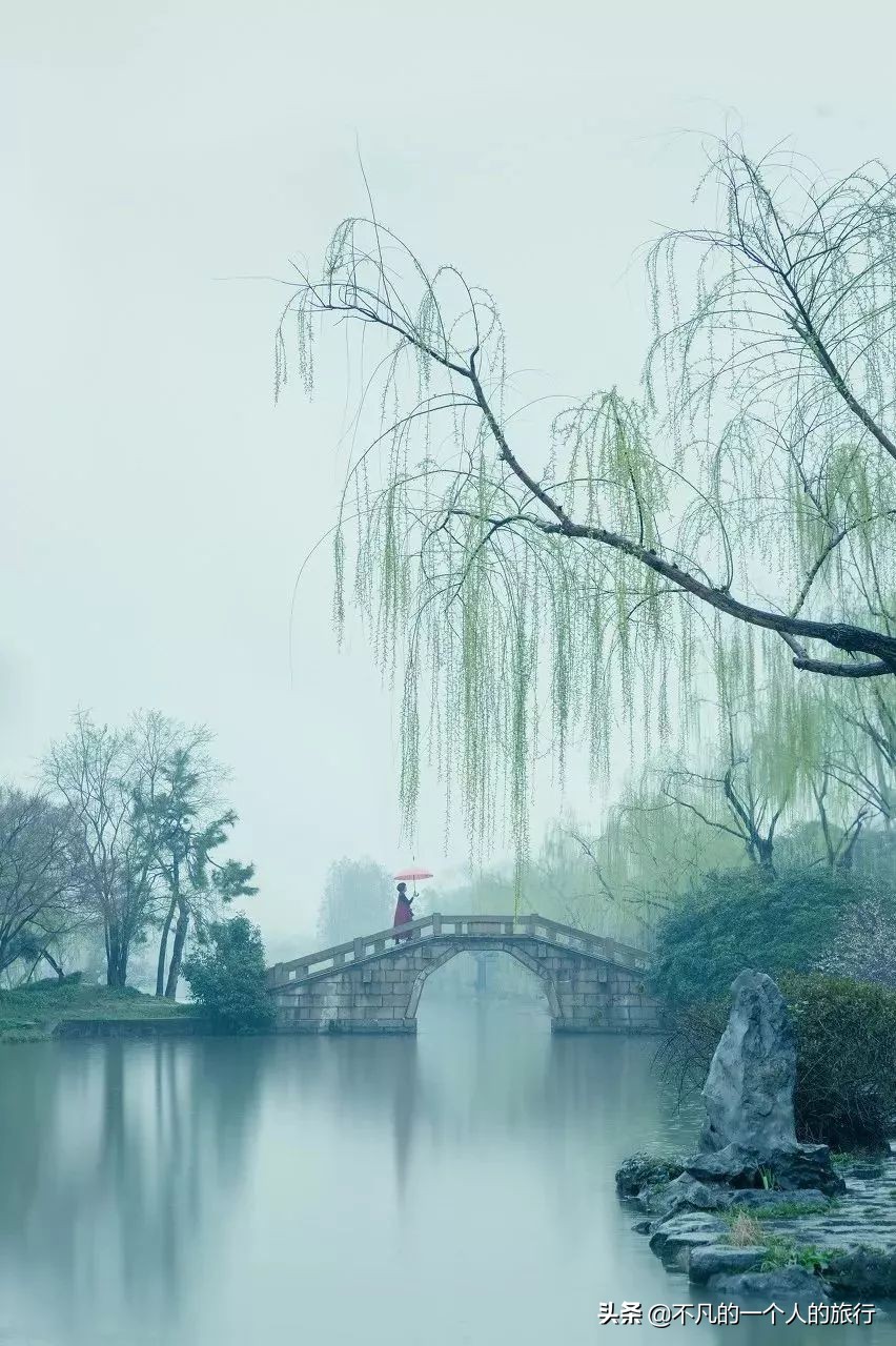 这才是中国最美的春天