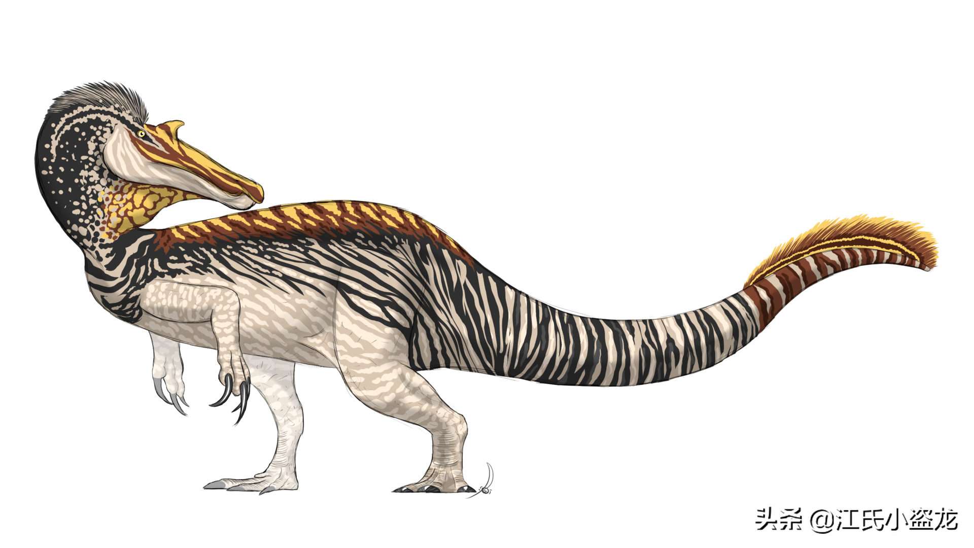 2021年新种恐龙(非鸟恐龙)大盘点