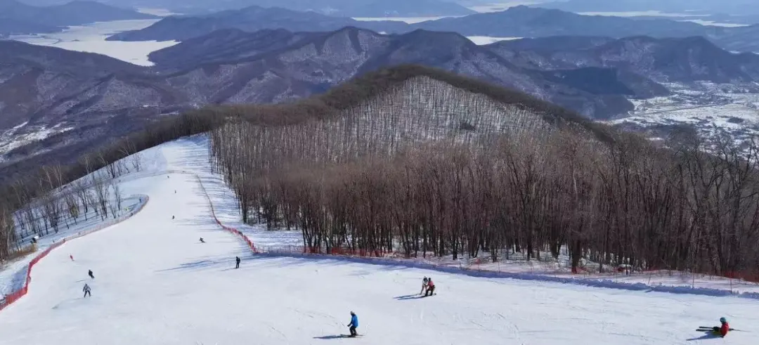 冬奥点燃消费，中国滑雪产业链的崛起之路