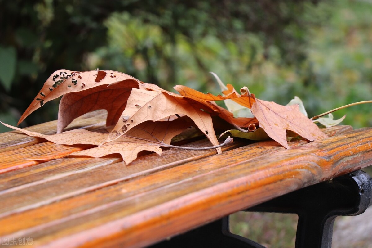 陕西340多分，重点研究这4所高校，办学特色明显，就业质量高