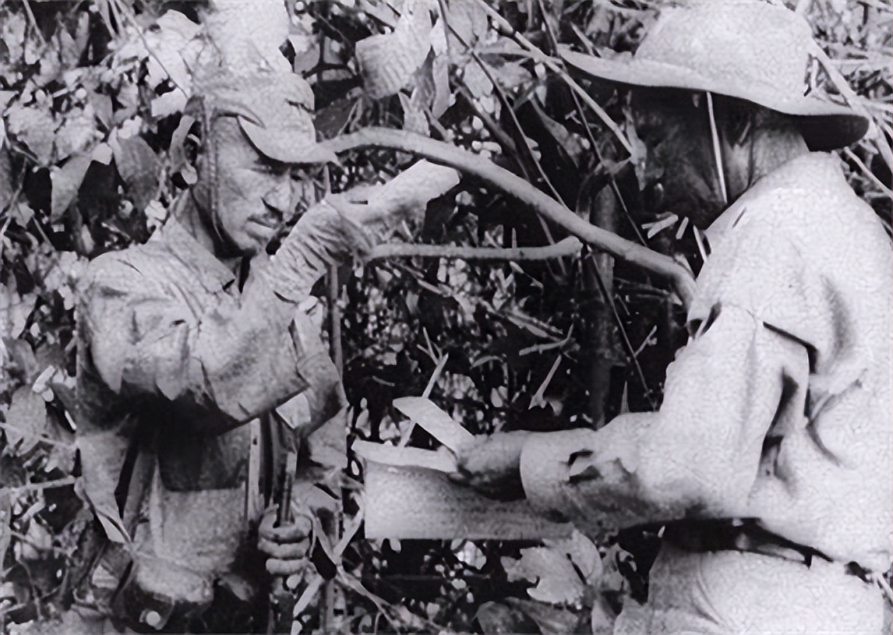 ���һ��Ͷ�����ձ��������˽�30����λ�ս��ֱ��1974���Ͷ��